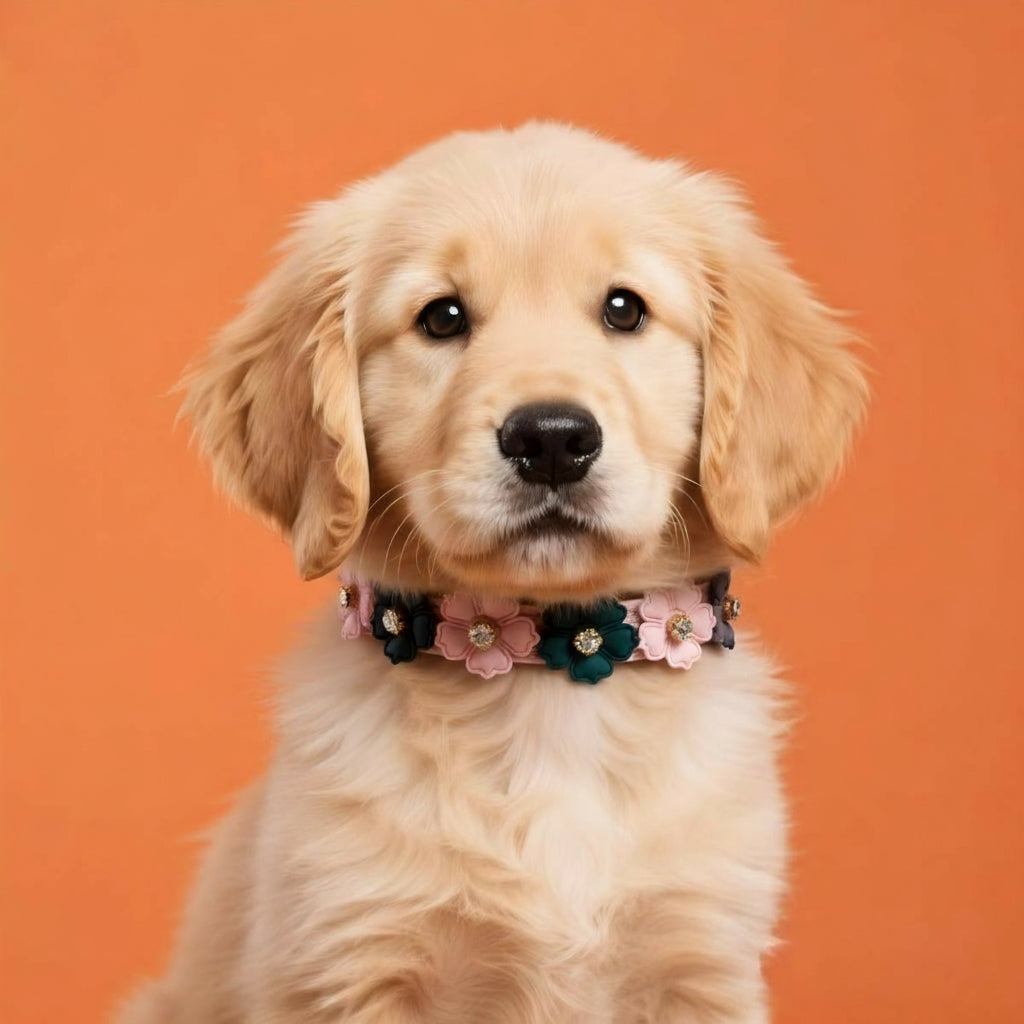 Dog Cat Collar Luxury Floral Leather Pet Collar