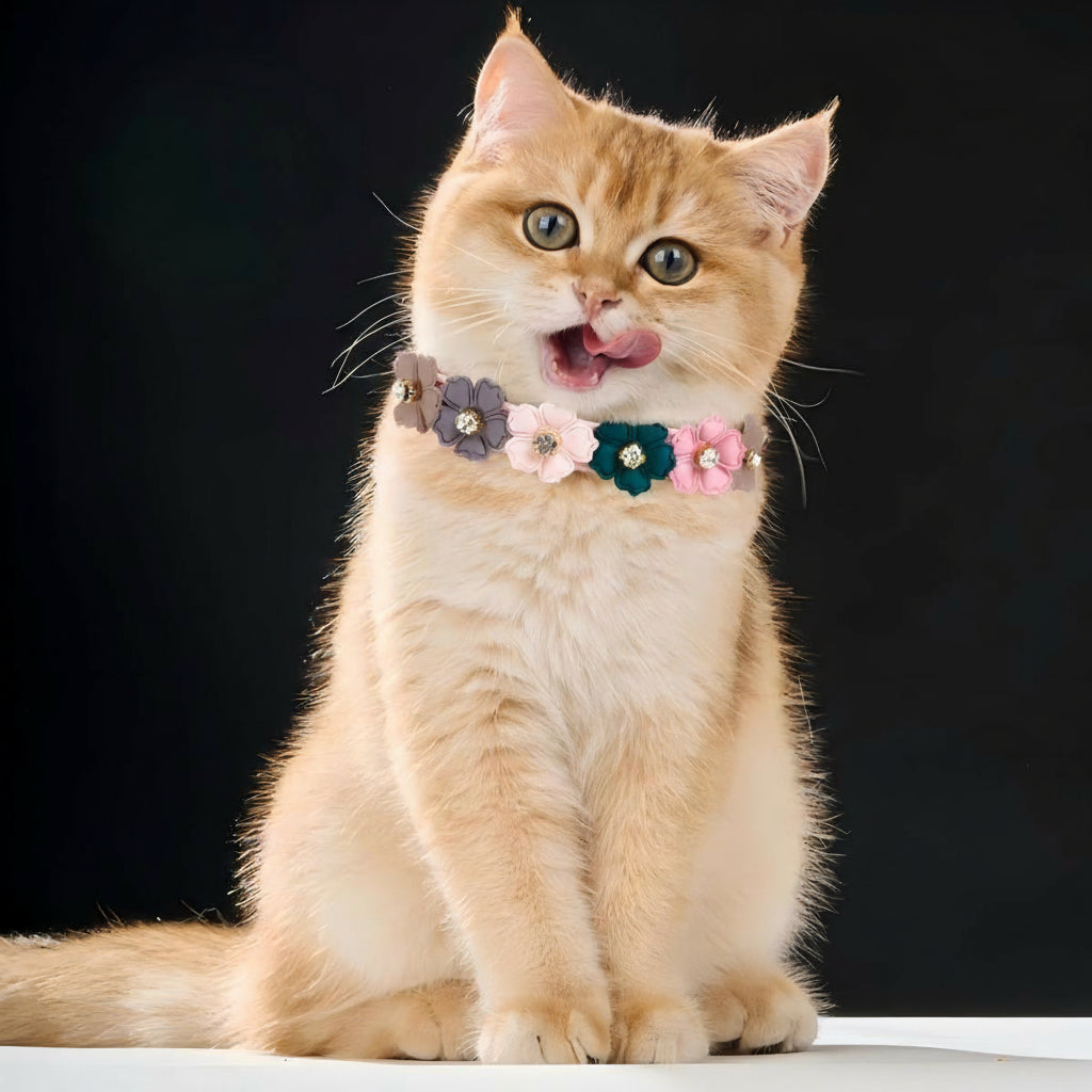 Dog Cat Collar Luxury Floral Leather Pet Collar
