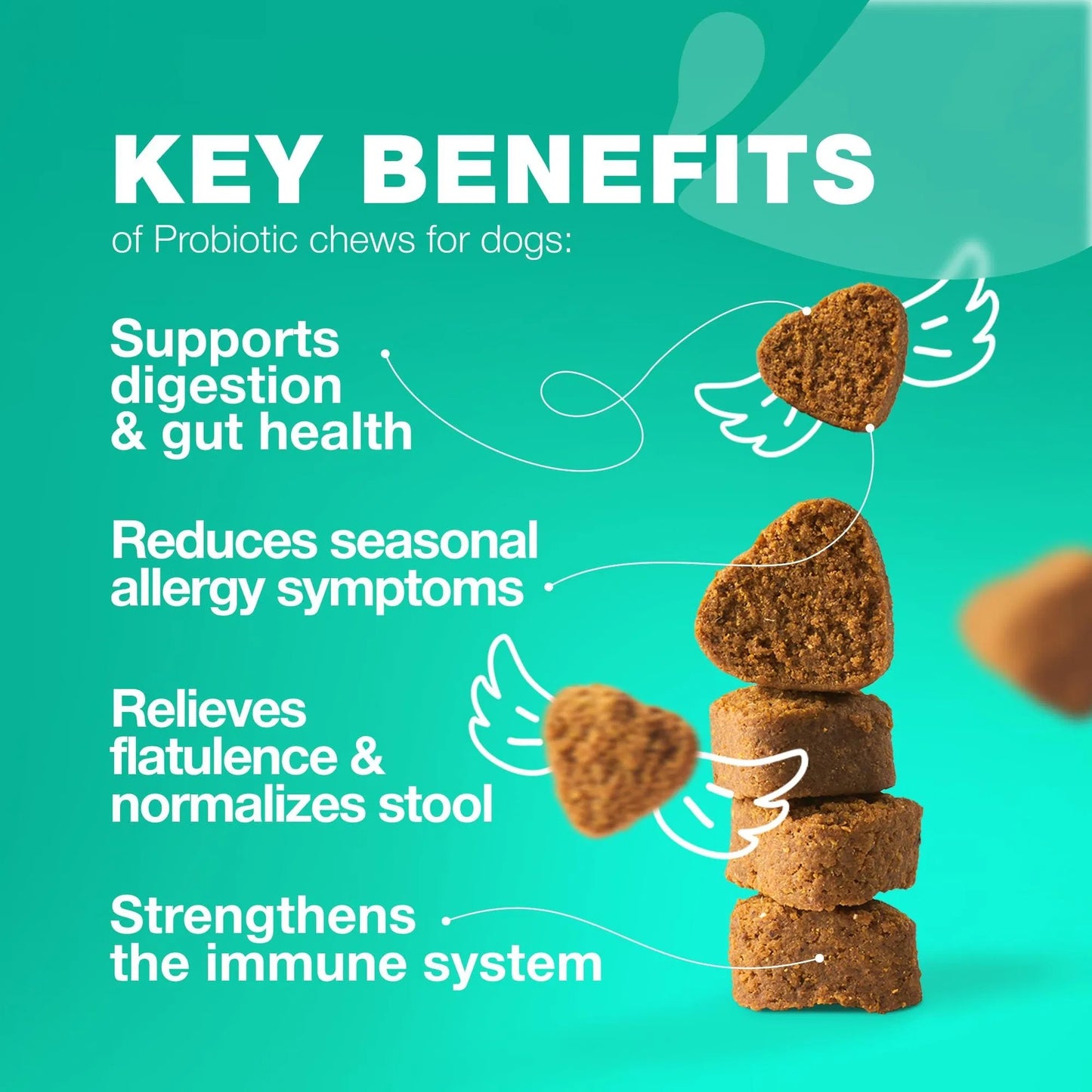 Probiotics For Dogs Support, Gut Health, Immunity, Yeast Balance, Itchy Skin Allergies