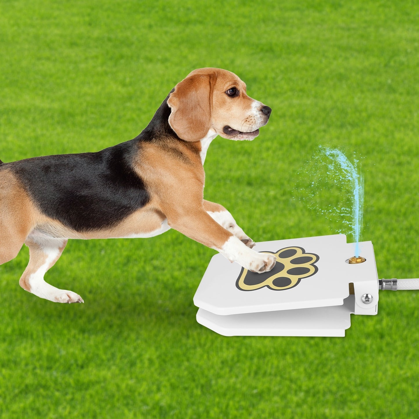 Step-on Activated Sprinkler With Interactive Paw Pedal Valve For Drinking Water