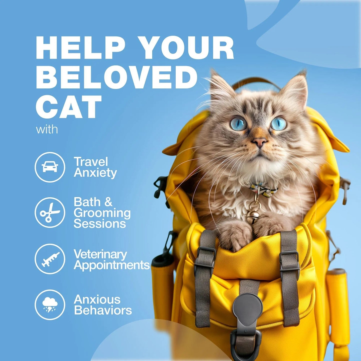Calming Treats Hemp Calming Care For Cats