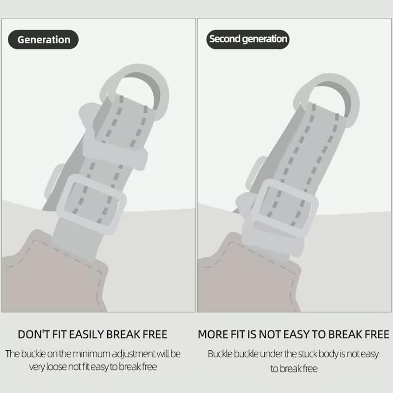 Pet Harness With Leash Set