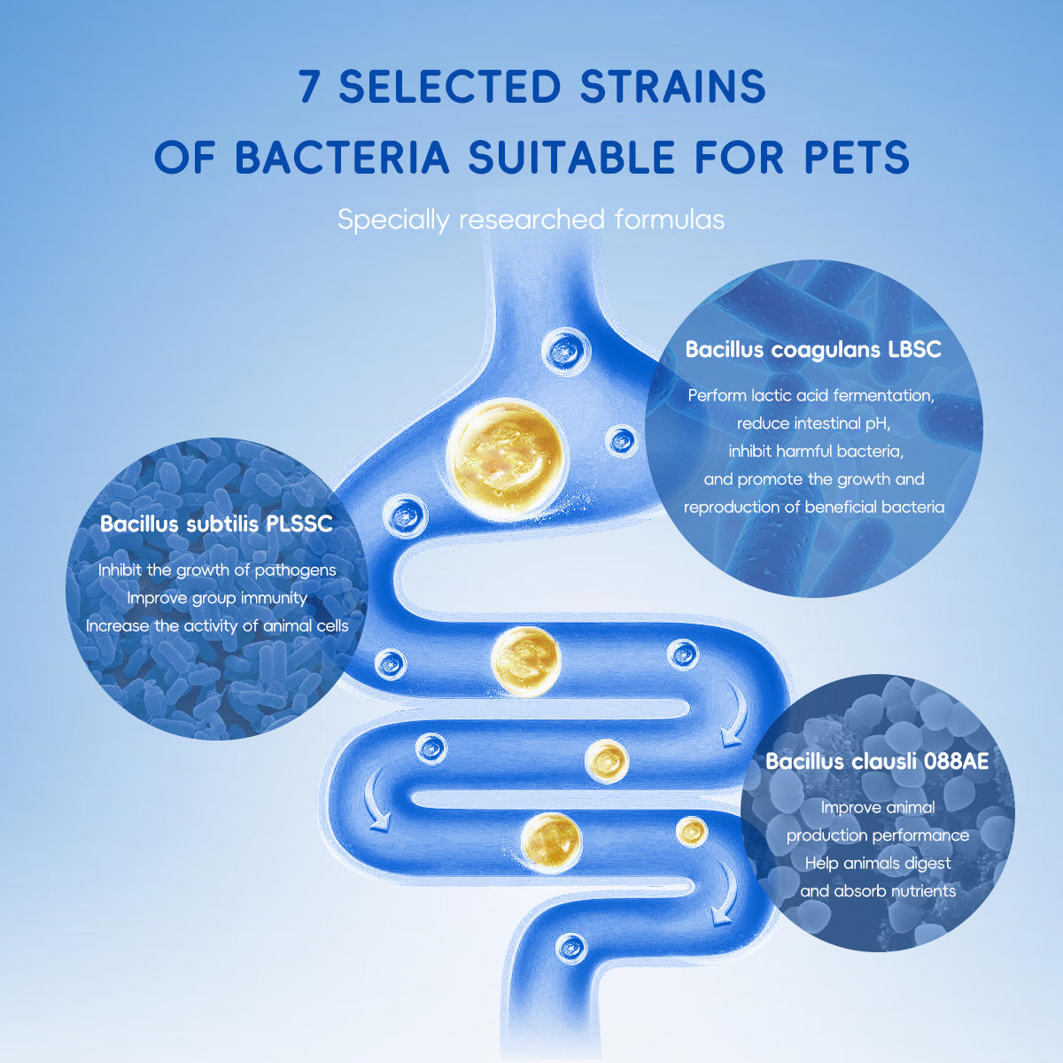 Bark And Meow Probiotics For Dogs & Cats