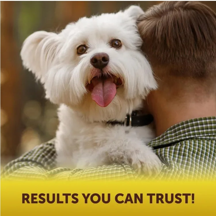Scoot Stopper Soft Chews Fiber For Dogs 180 Chewables