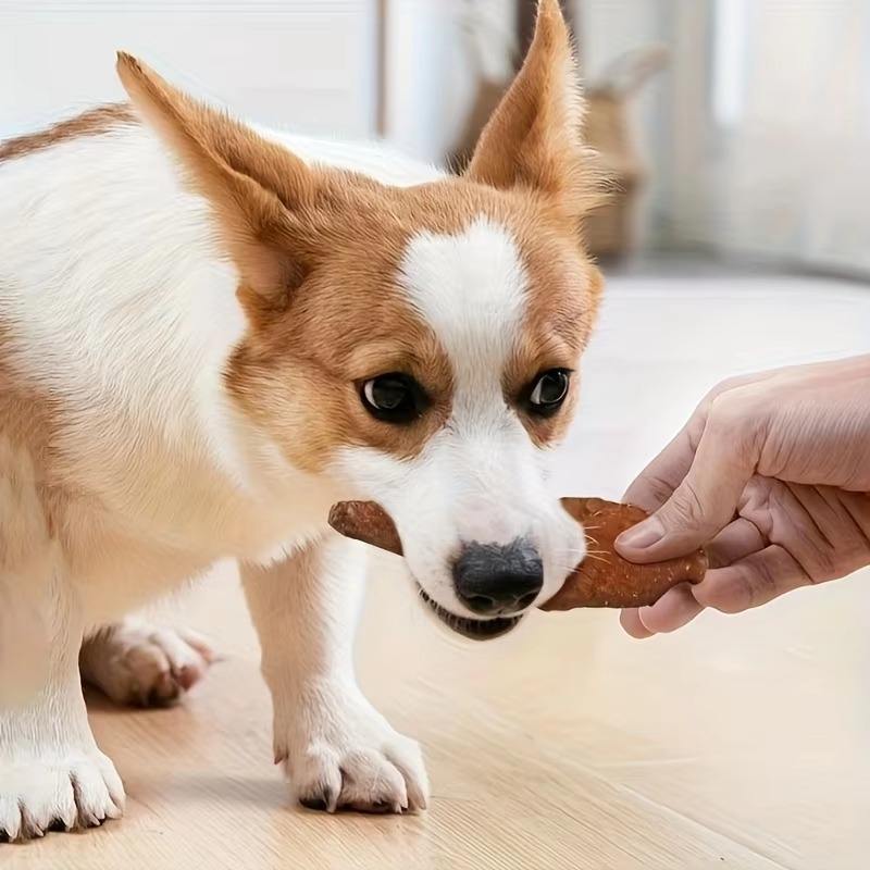 Chewy Natural Meat Snack For Dogs Suitable For All Sizes.