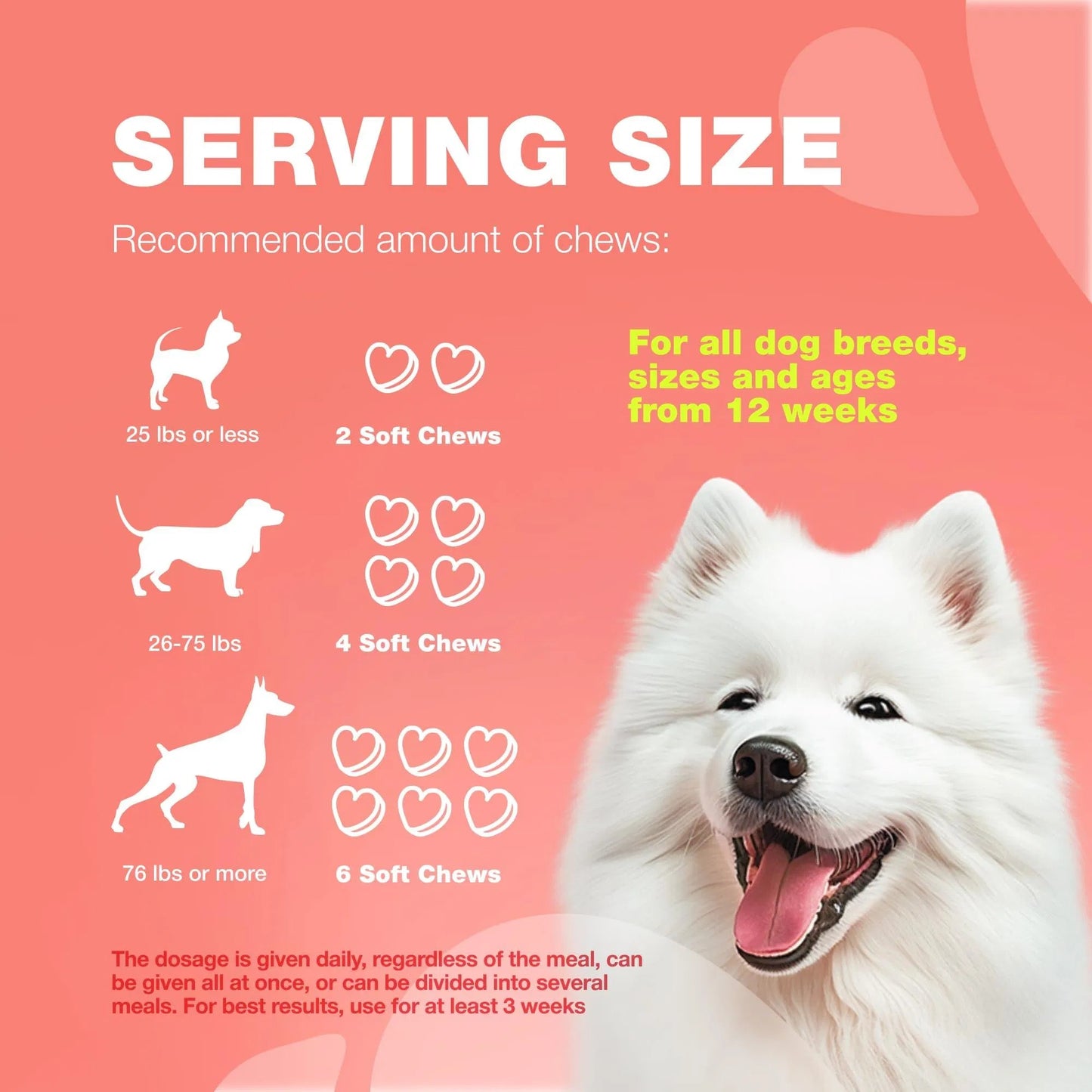 Dog Flea And Tick Treatment Chews