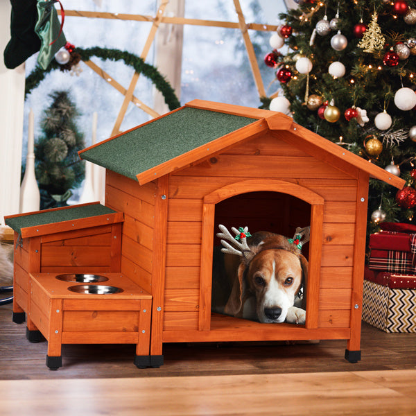 Green Asphalt Roof Golden Red Main Body Fir House Type Cat And Dog House