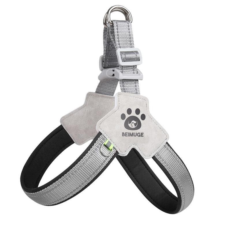 Pet Harness With Leash Set