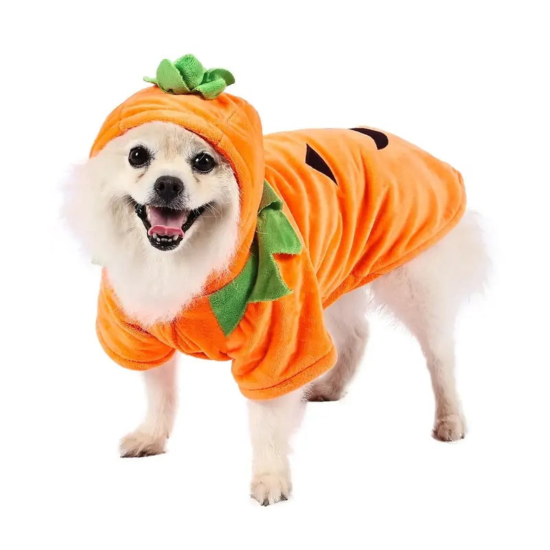Dog Hoodie Cute Funny Halloween Style Pumpkin Cosplay Costume