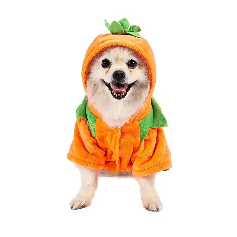 Dog Hoodie Cute Funny Halloween Style Pumpkin Cosplay Costume