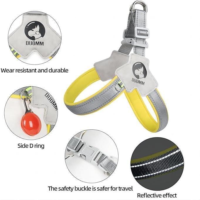 Pet Harness With Leash Set
