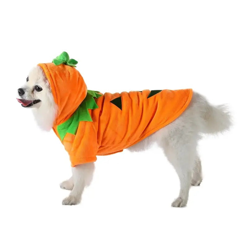 Dog Hoodie Cute Funny Halloween Style Pumpkin Cosplay Costume