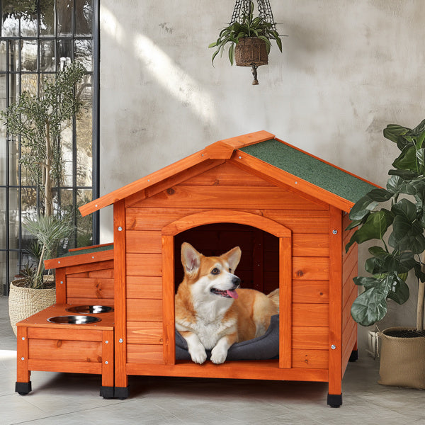 Green Asphalt Roof Golden Red Main Body Fir House Type Cat And Dog House