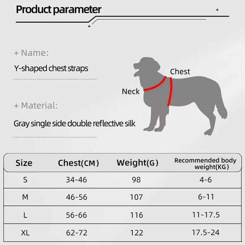 Pet Harness With Leash Set