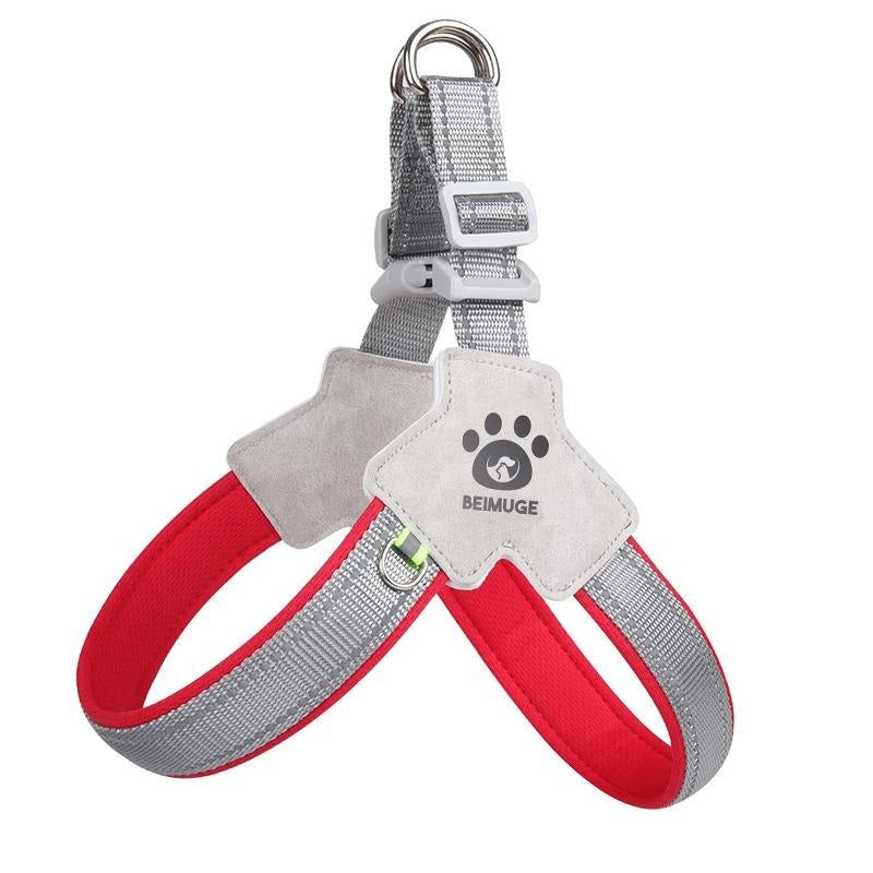 Pet Harness With Leash Set