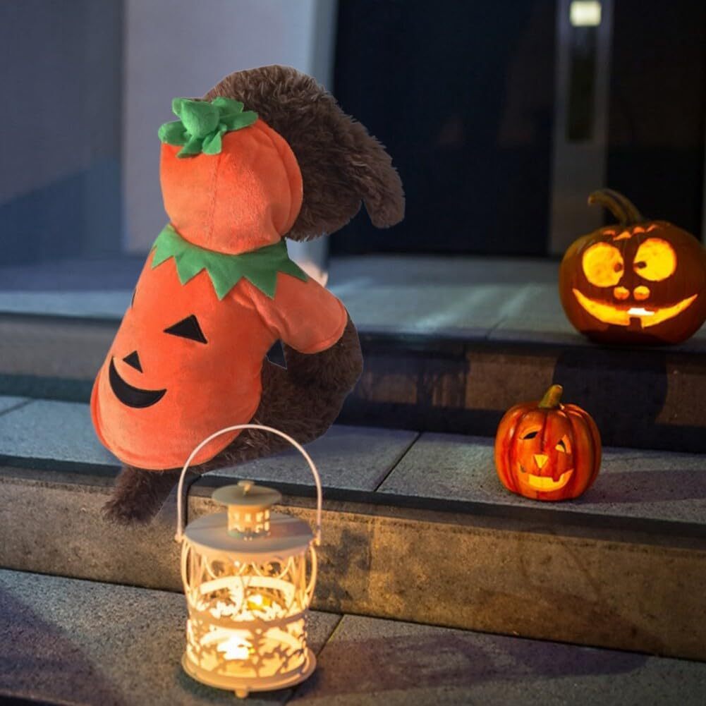 Dog Hoodie Cute Funny Halloween Style Pumpkin Cosplay Costume