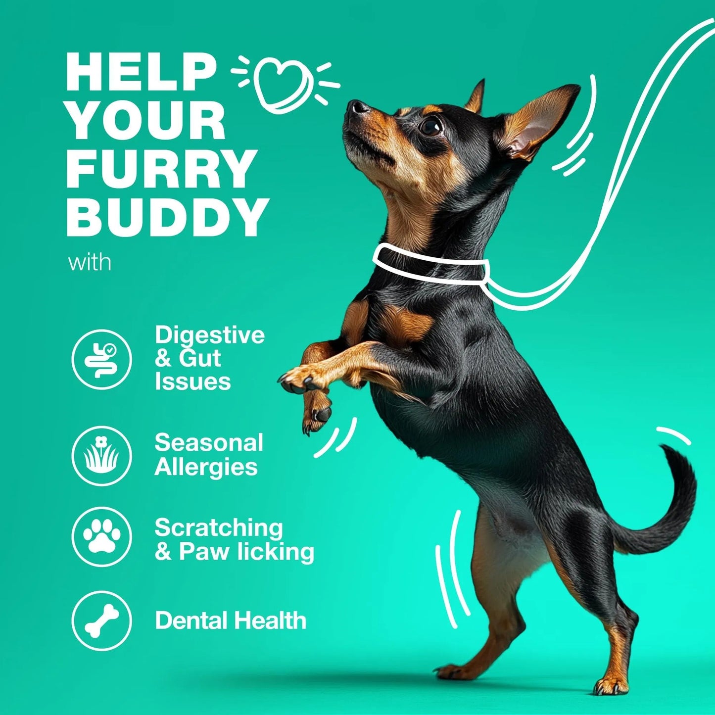 Probiotics For Dogs Support, Gut Health, Immunity, Yeast Balance, Itchy Skin Allergies