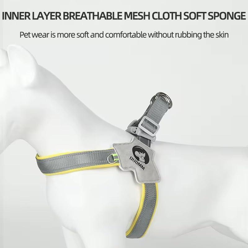 Pet Harness With Leash Set