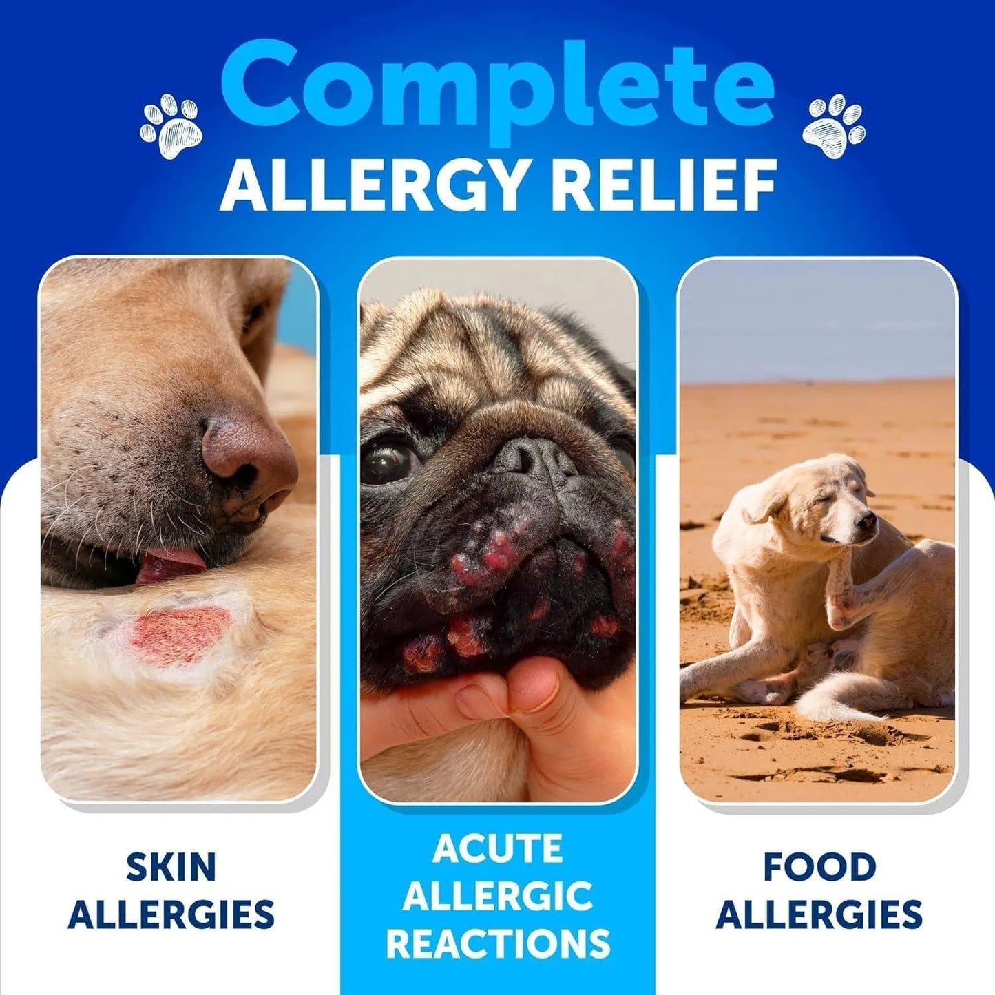 Allergy Relief Chews Itching Skin Relief For Dogs