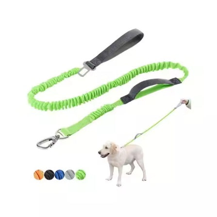 Leashes, collers & accessories