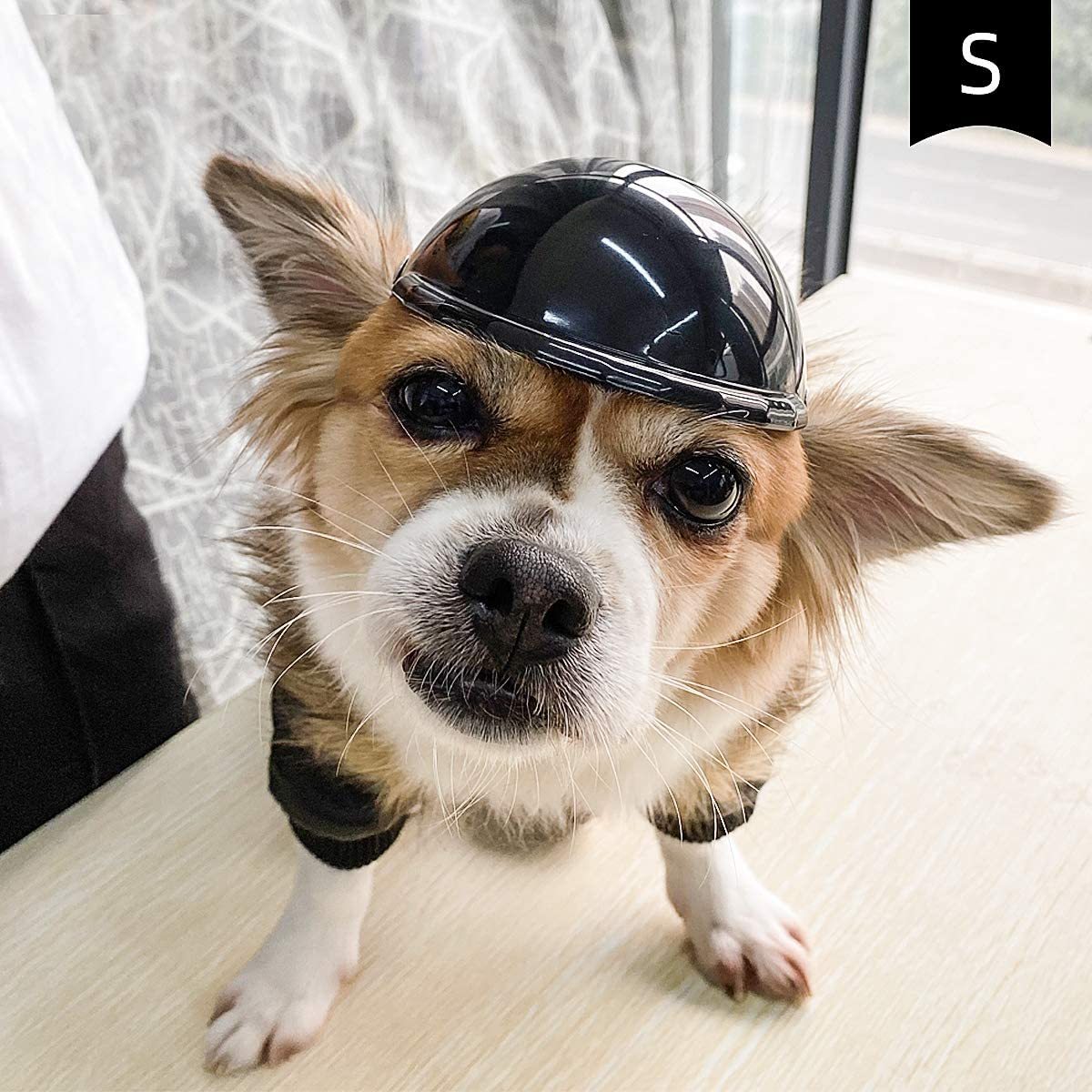 Pet Motorcycle Helmet