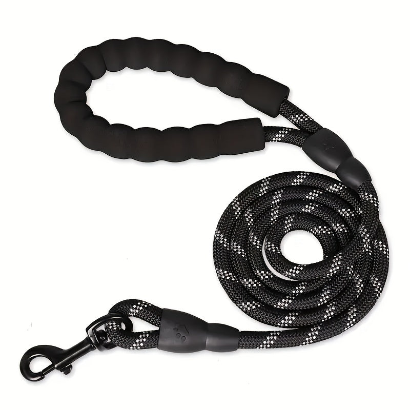 Dogs Leash Running