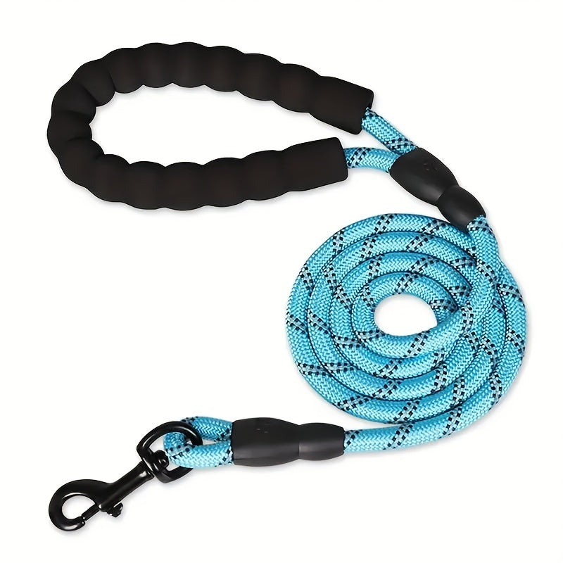 Dogs Leash Running