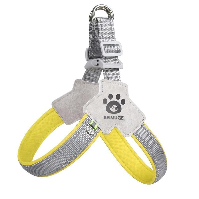 Pet Harness With Leash Set