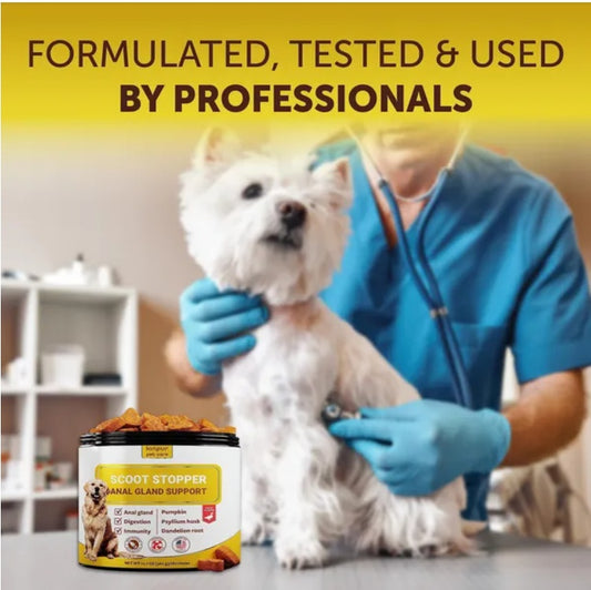 Scoot Stopper Soft Chews Fiber For Dogs 180 Chewables