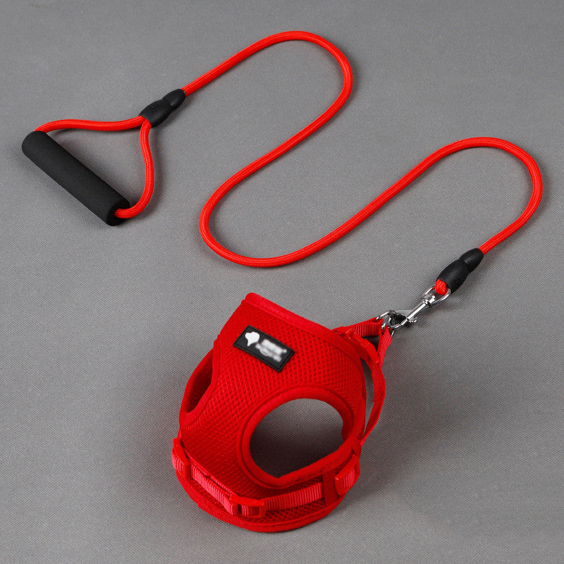 Dog leash collar