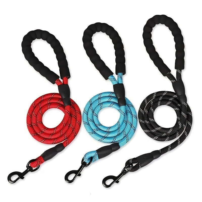 Dogs Leash Running