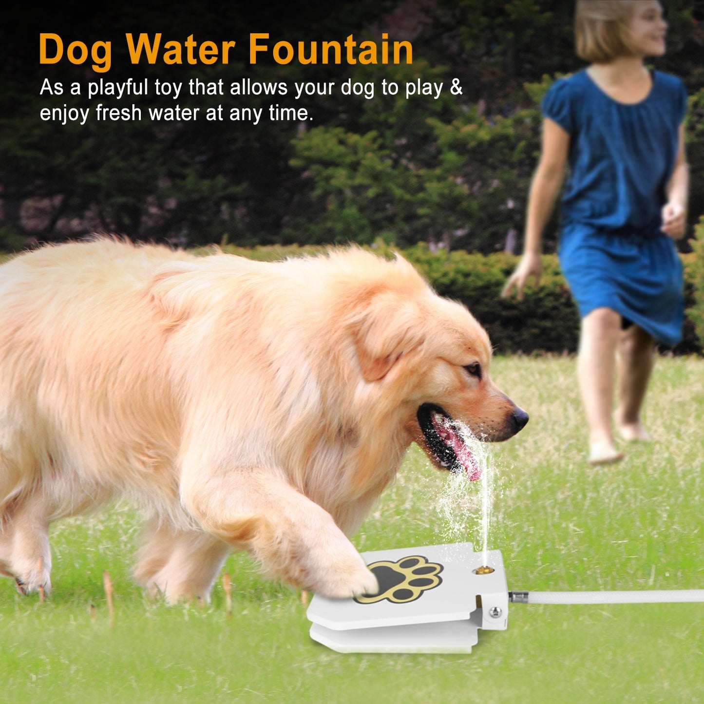 Step-on Activated Sprinkler With Interactive Paw Pedal Valve For Drinking Water