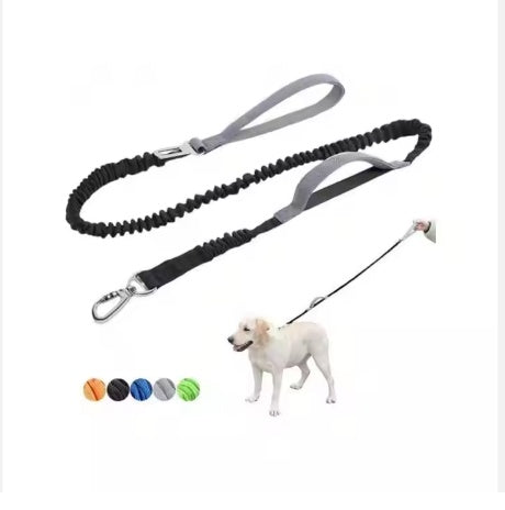 Pet Dog Explosion Proof Impact Leash 4-6 Feet Long