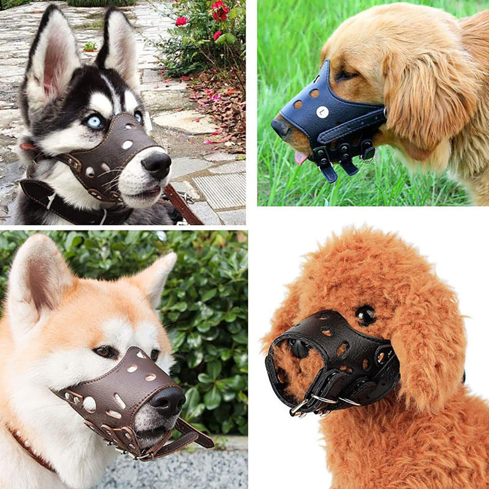 Dog Muzzle Leather