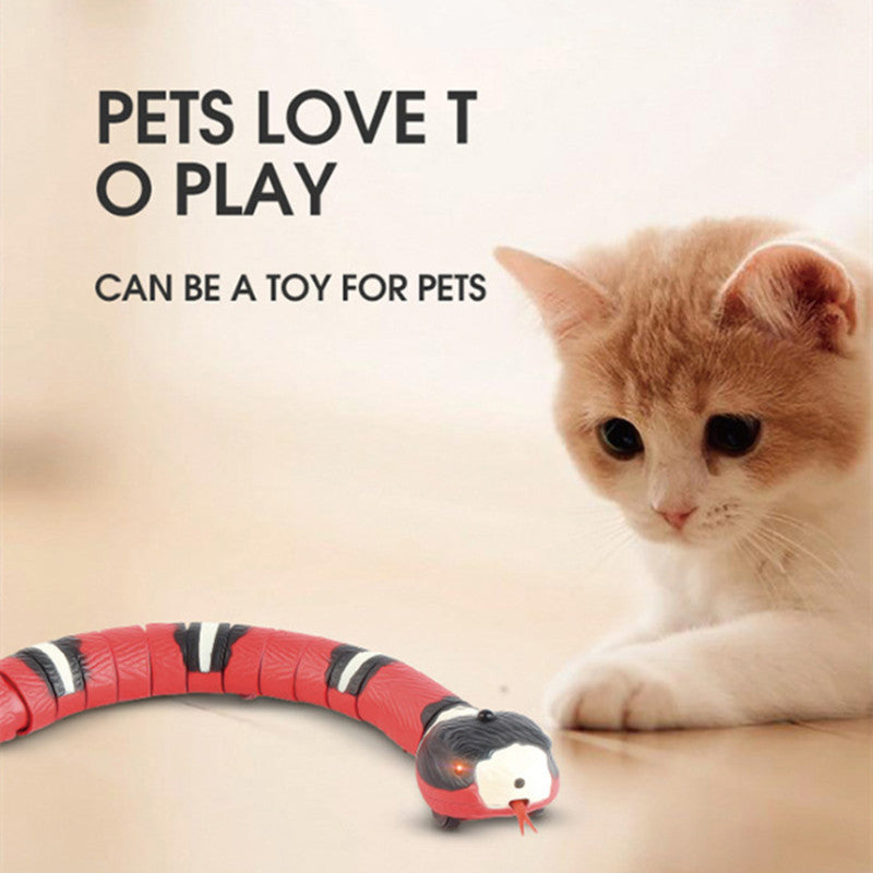 Interactive Electric Induction Snake Funny Toy
