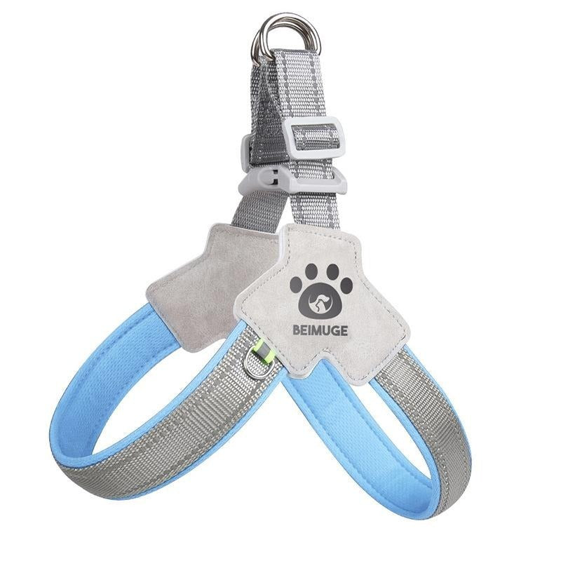 Pet Harness With Leash Set