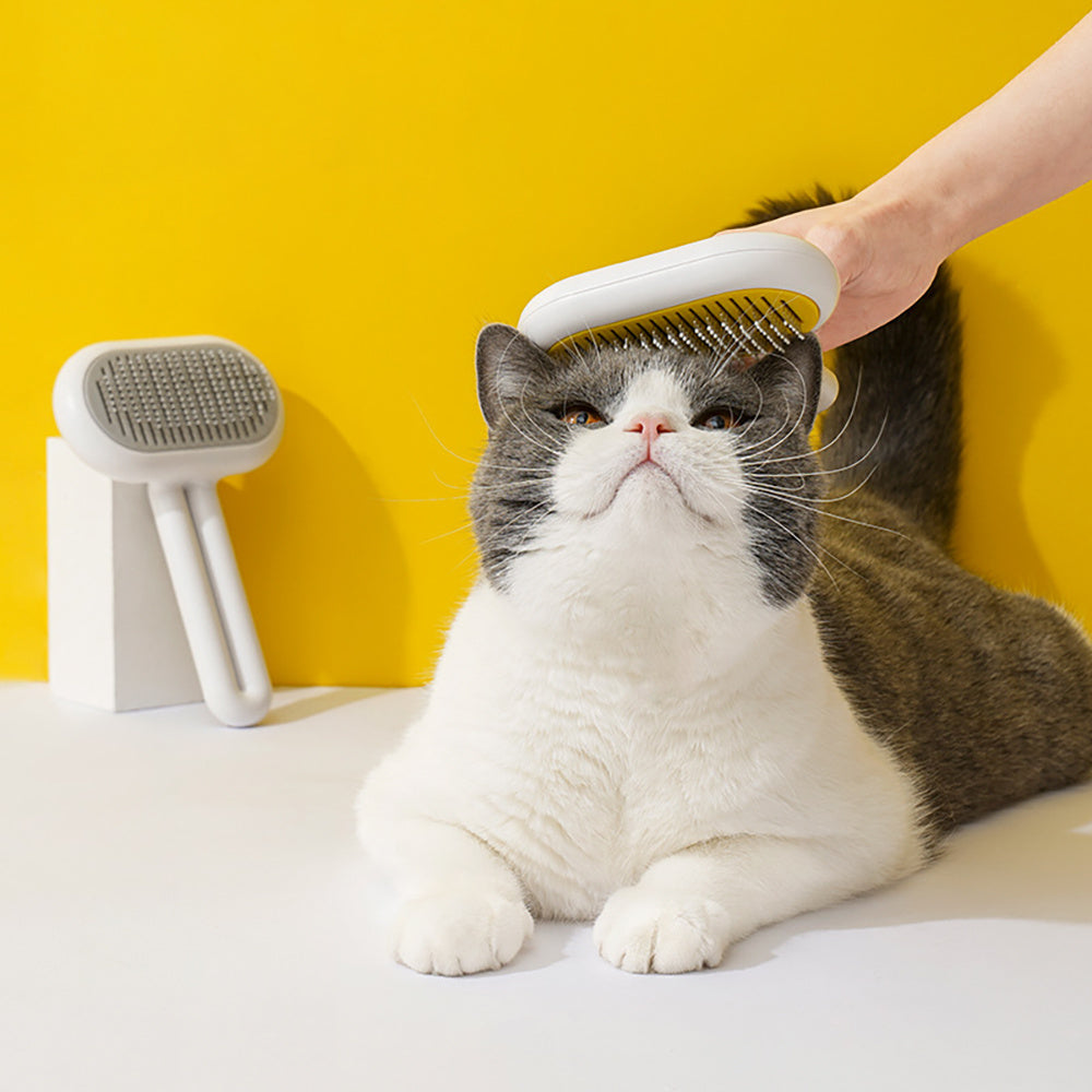 Pet Grooming Brush