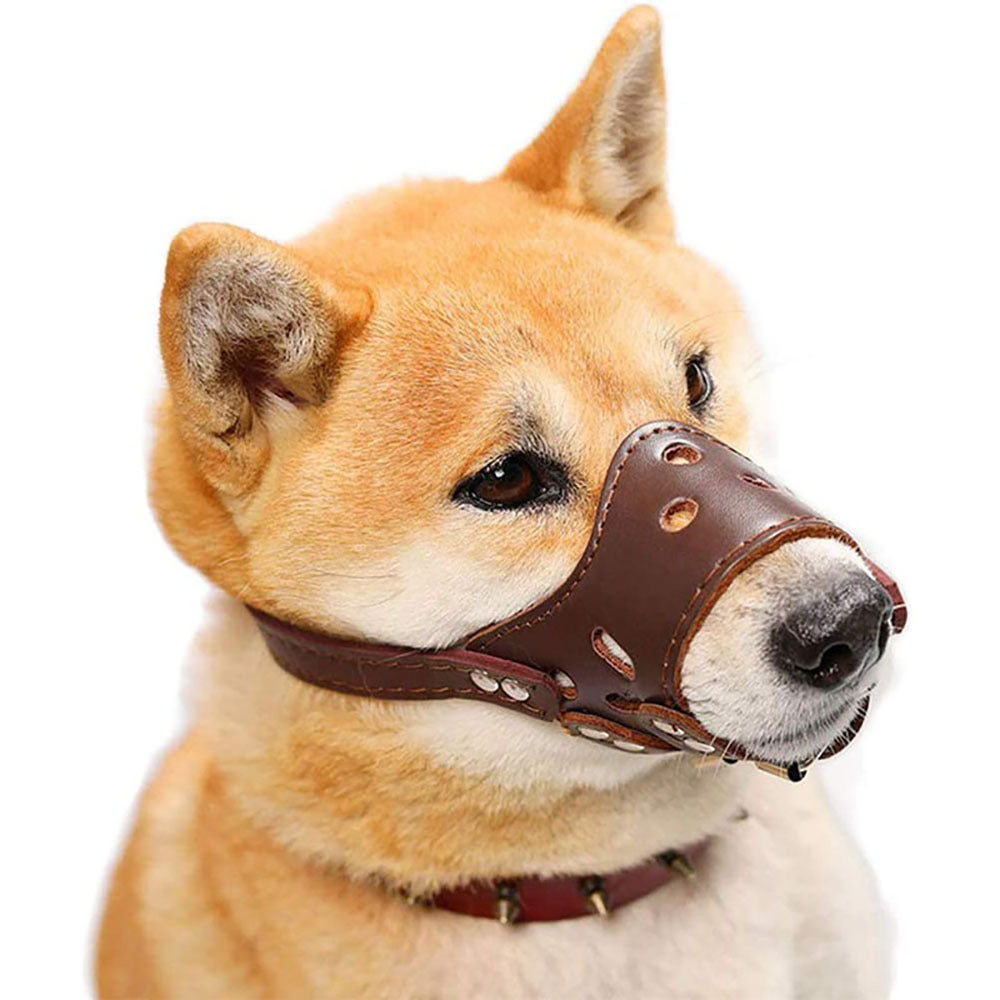 Dog Muzzle Leather