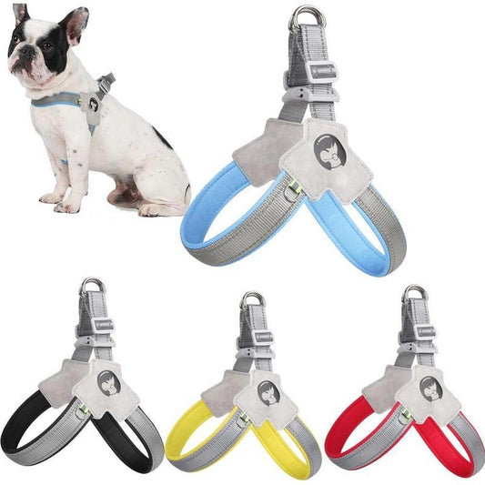 Pet Harness With Leash Set
