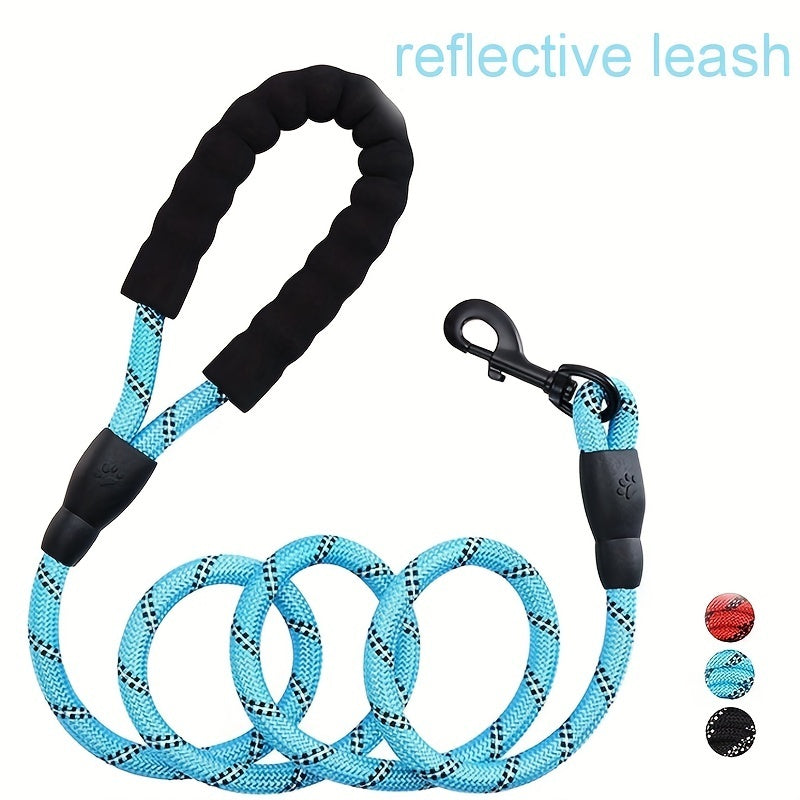 Dogs Leash Running