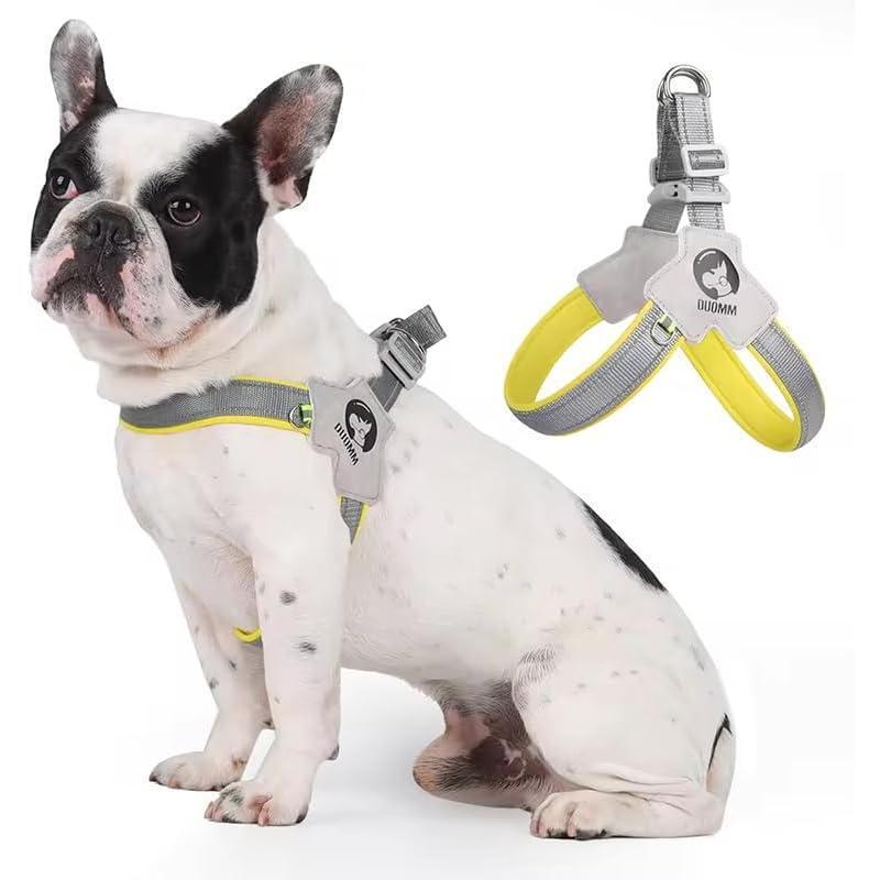 Pet Harness With Leash Set