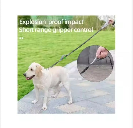 Pet Dog Explosion Proof Impact Leash 4-6 Feet Long