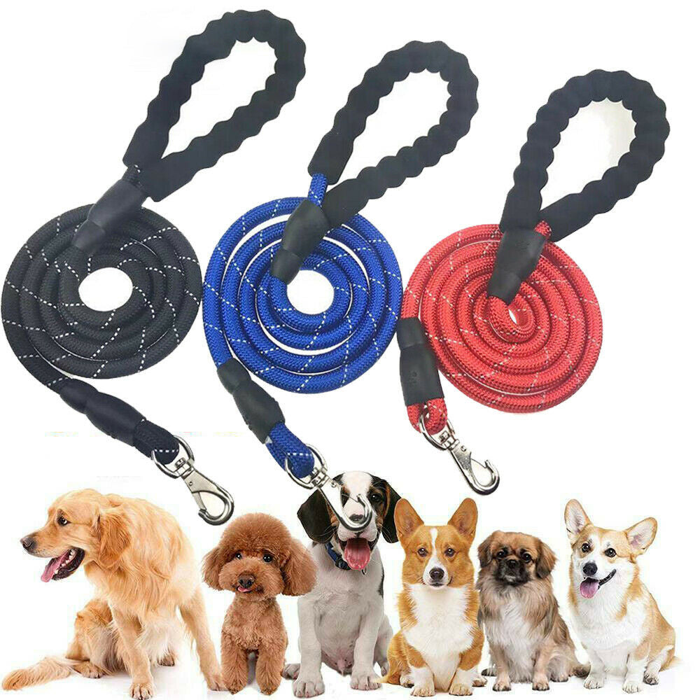 Dogs Leash Running