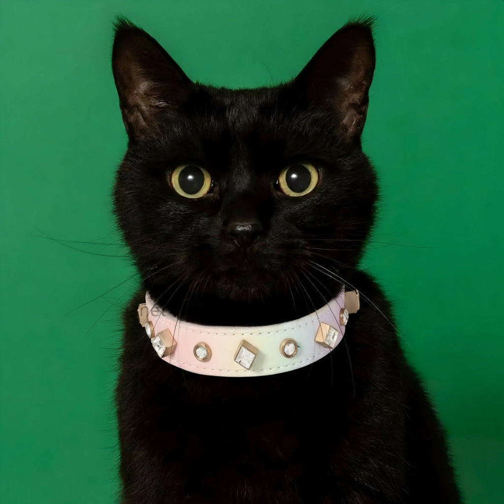 Dog Cat Collar Luxury Gemstone Collar Leash Set