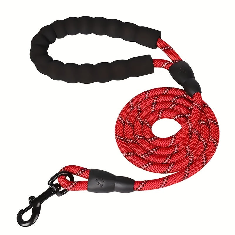 Dogs Leash Running