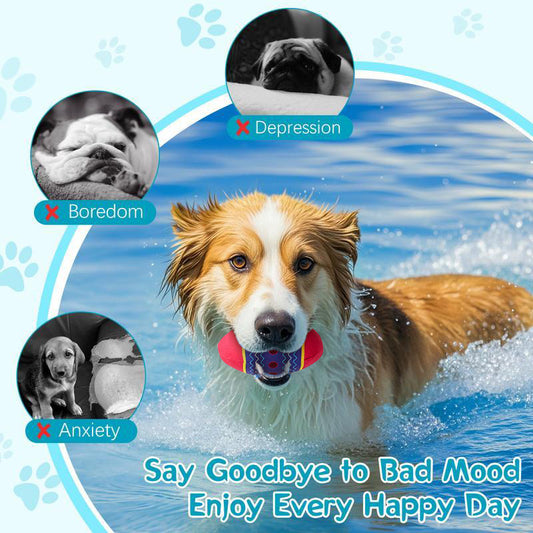 Easter Egg Toys For Pet