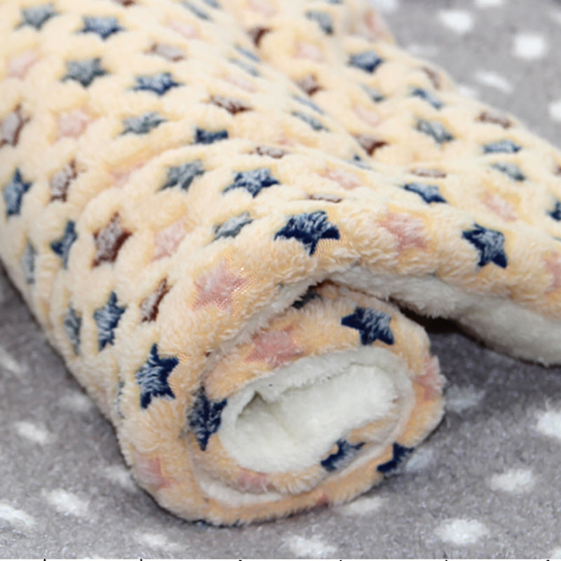 Super Soft Fluffy Premium Fleece Pet Blanket