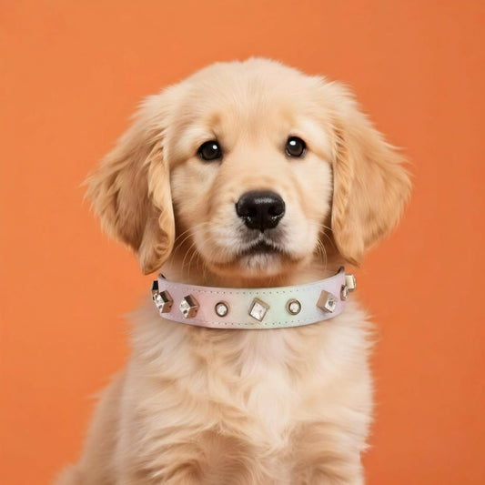 Dog Cat Collar Luxury Gemstone Collar Leash Set