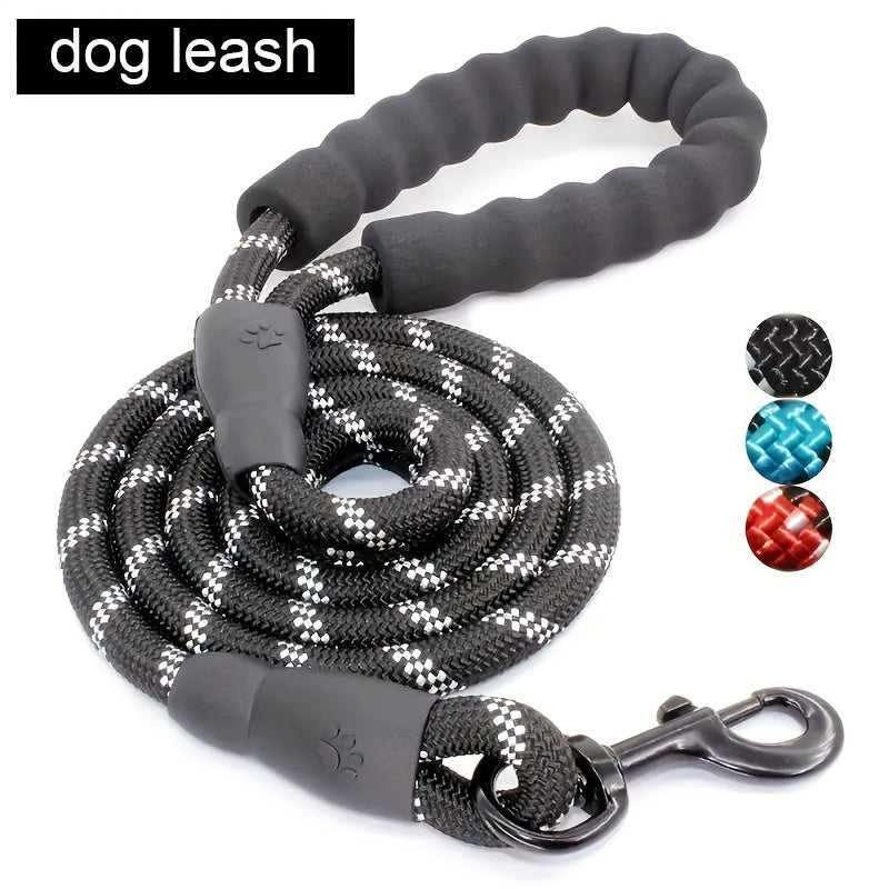 Dogs Leash Running